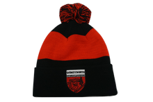 Load image into Gallery viewer, SNSSA Beanie
