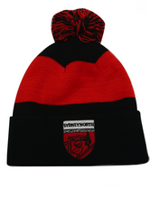Load image into Gallery viewer, SNSSA Beanie
