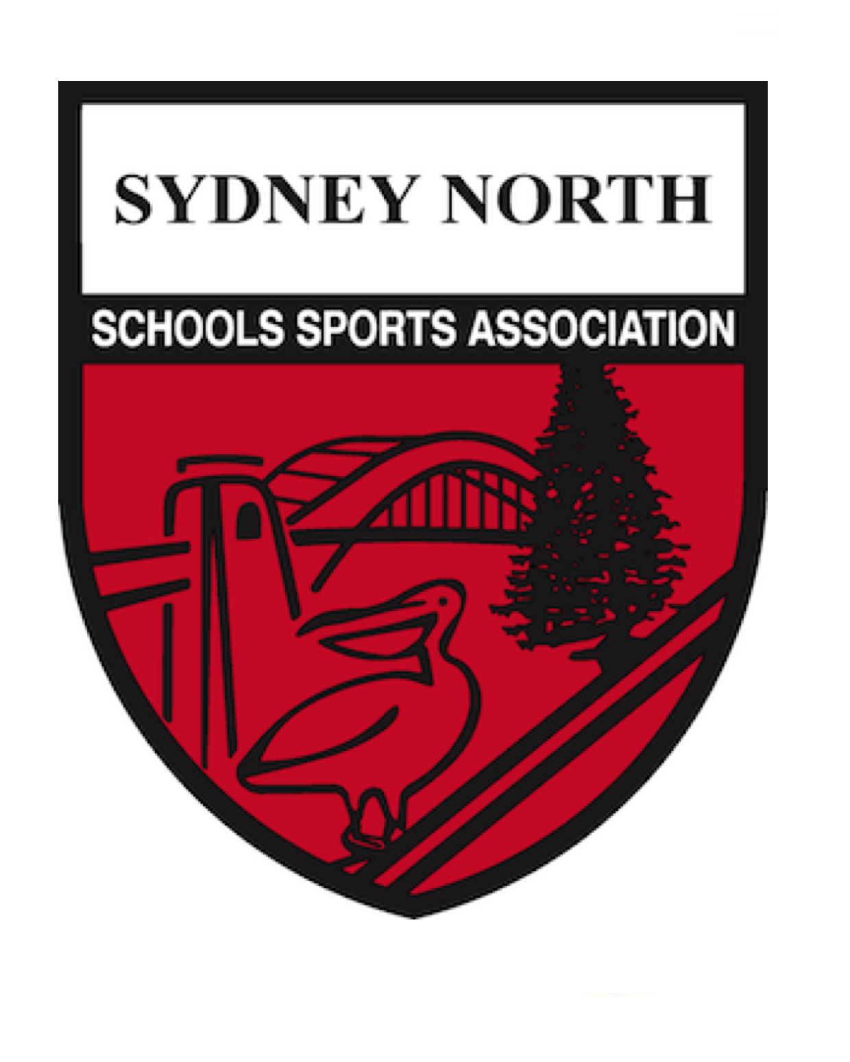 Compulsory Championship Levy - Primary Rugby League 12 Yrs